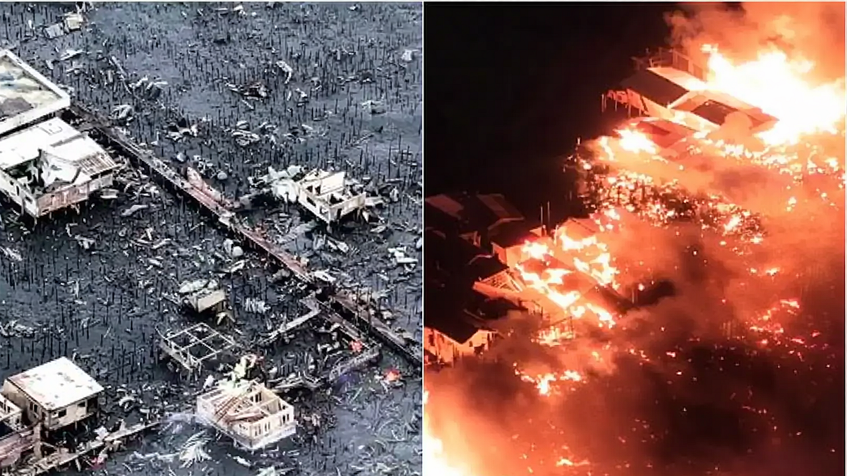 फोटो: सोशल मीडिया