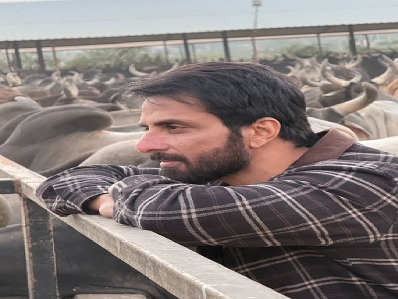 फोटो: सोशल मीडिया