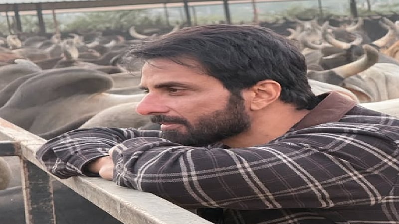 फोटो: सोशल मीडिया