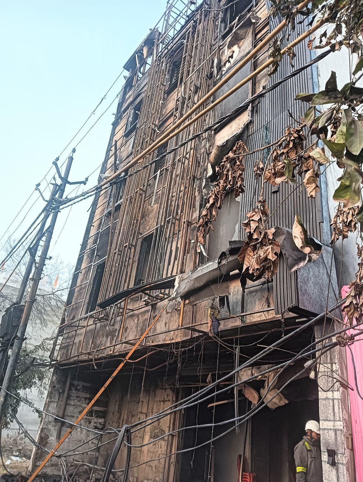 फोटो: सोशल मीडिया