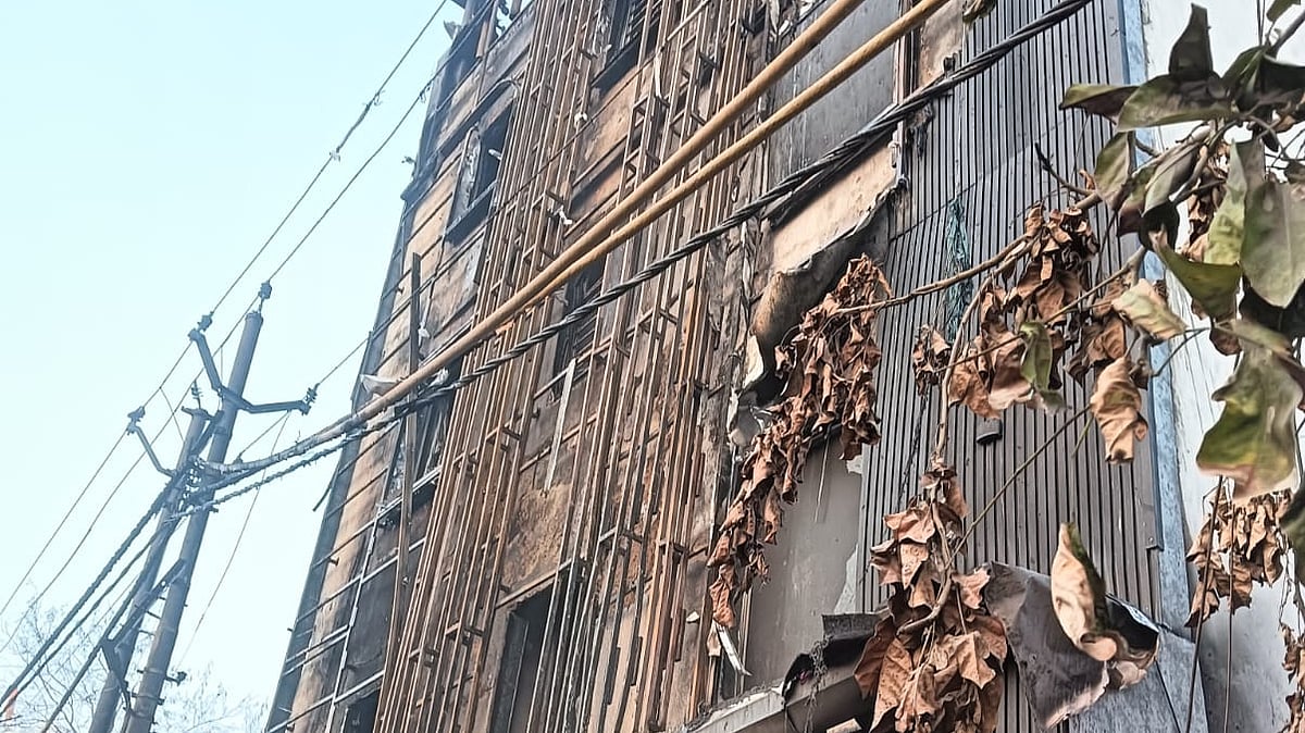 फोटो: सोशल मीडिया