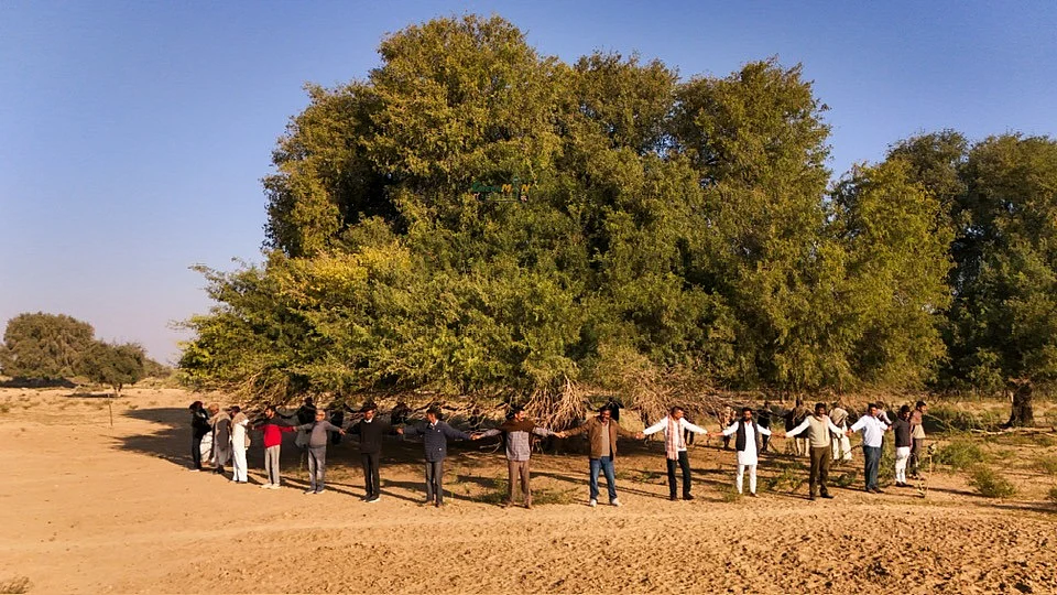 राजस्थान में इन दिनों ओरण बचाओ आंदोलन जारी है। कई तरह से इन पवित्र वनों के बचाने की मुहिम जारी है