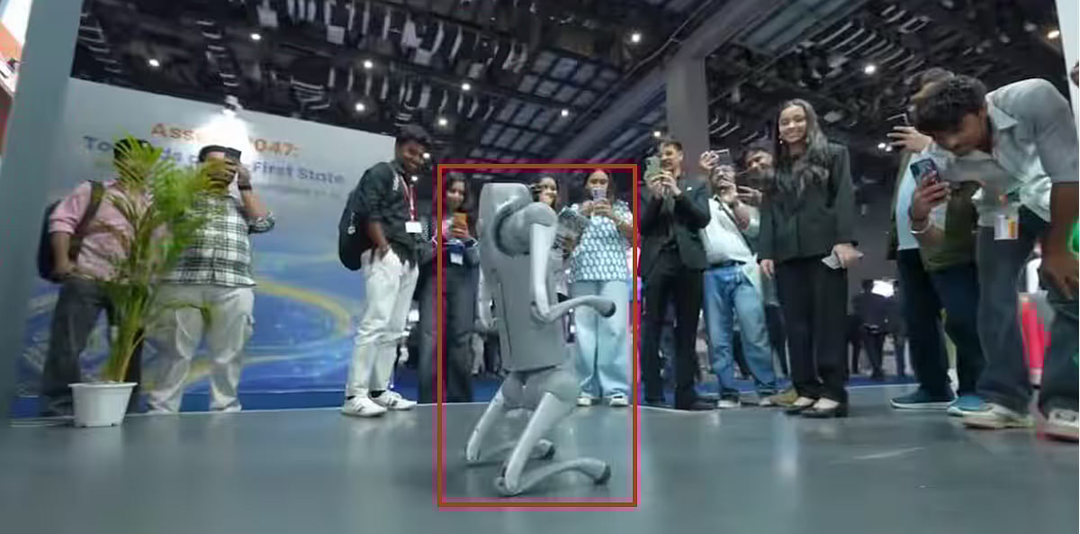 फोटो: सोशल मीडिया