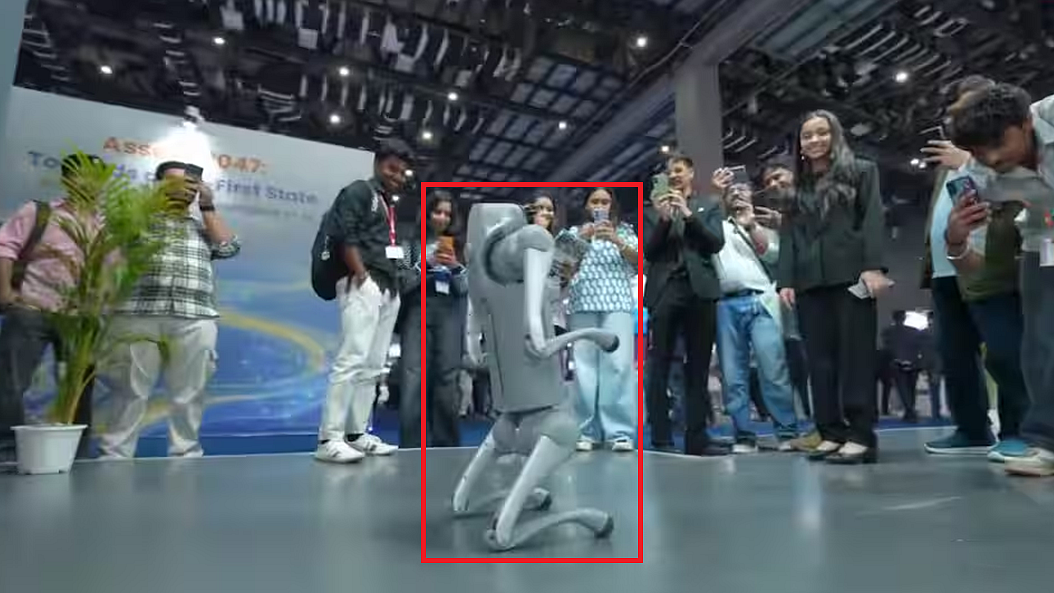 फोटो: सोशल मीडिया