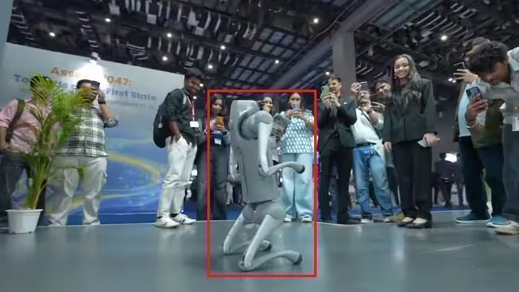 फोटो: सोशल मीडिया