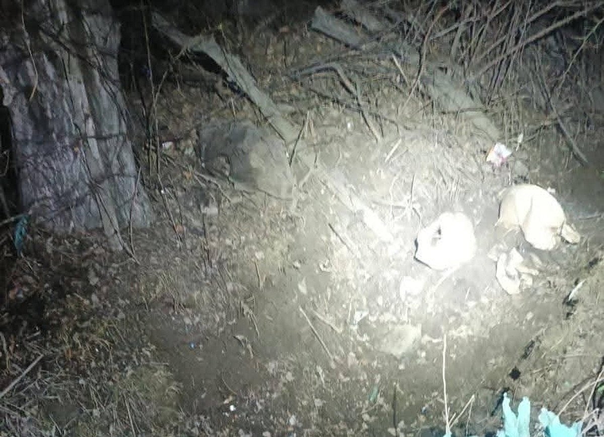 जम्मू-कश्मीर: श्रीनगर-बारामूला नेशनल हाईवे पर गश्त के दौरान IED बरामद, बड़ा हादसा टला