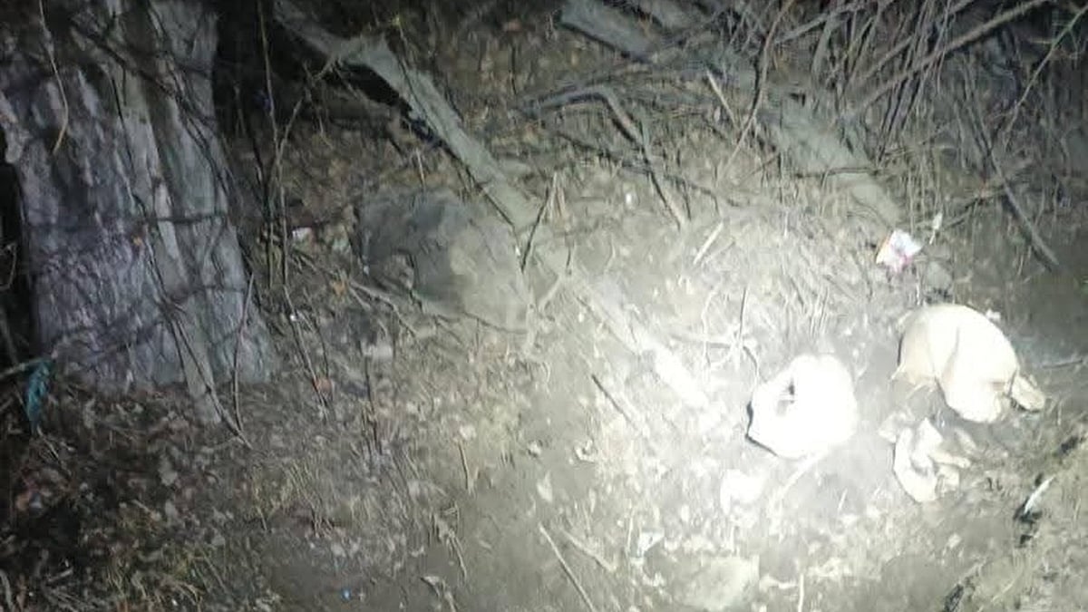 फोटो: सोशल मीडिया