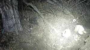 फोटो: सोशल मीडिया