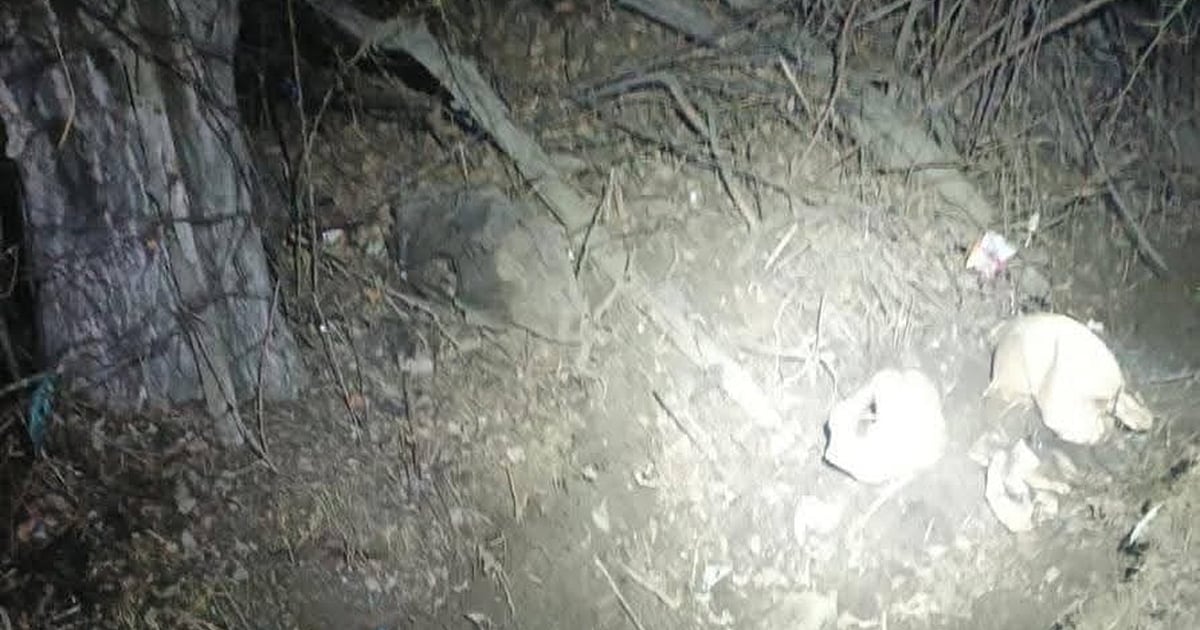 जम्मू-कश्मीर: श्रीनगर-बारामूला नेशनल हाईवे पर गश्त के दौरान IED बरामद, बड़ा हादसा टला