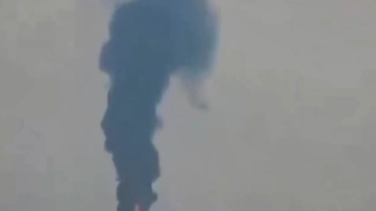 फोटो: सोशल मीडिया