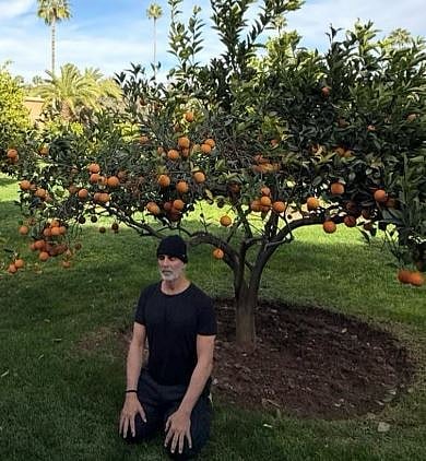 सिनेजीवन: शादी पर उठे विवादों पर मोनालिसा ने दिया करारा जवाब और 'द ग्रेट इंडियन कपिल शो' में सुनील ग्रोवर का धमाका