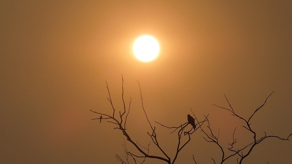 तेजी से बढ़ता तापमान अब 'न्यू नॉर्मल' है, सरकार विकास के नाम पर सब बर्बाद करने पर आमादा 
