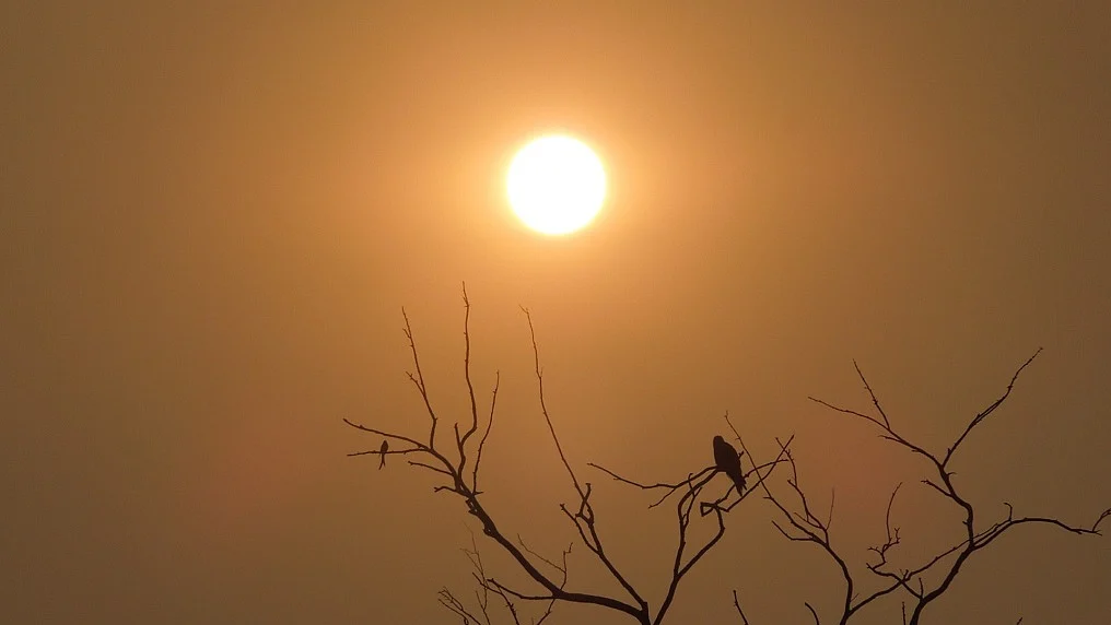तेजी से बढ़ता तापमान अब 'न्यू नॉर्मल' है, सरकार विकास के नाम पर सब बर्बाद करने पर आमादा