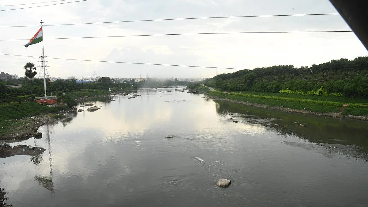 फोटो: सोशल मीडिया