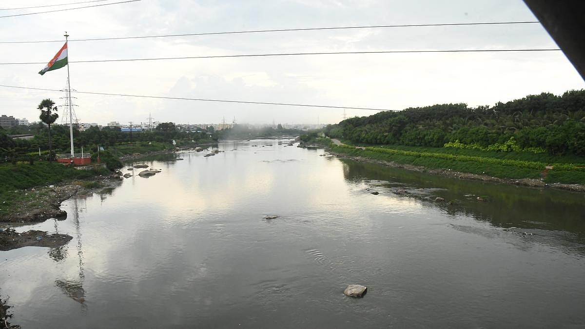 फोटो: सोशल मीडिया