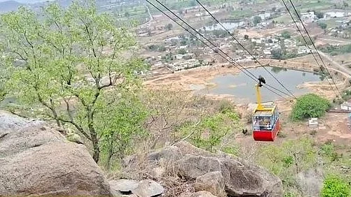 फोटो: सोशल मीडिया