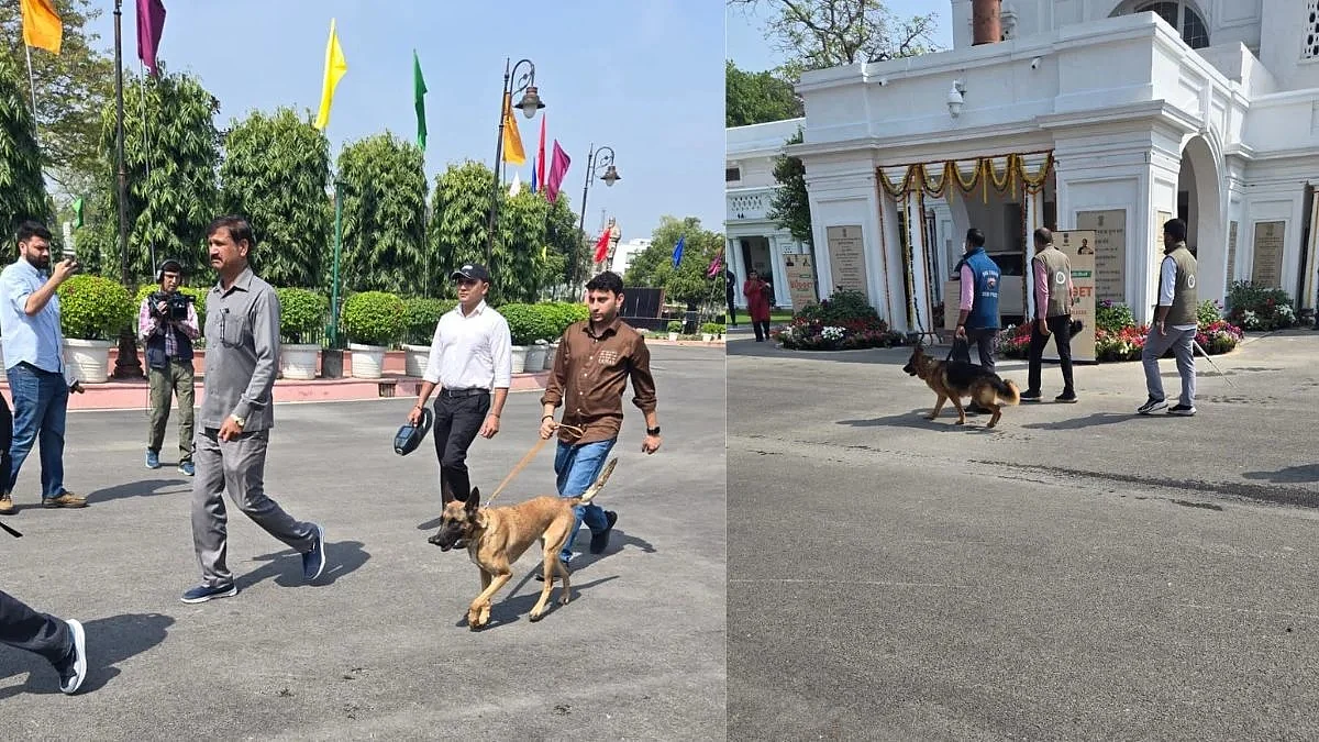 फोटो: सोशल मीडिया