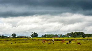 एनसीआर में 8 अप्रैल तक बिगड़ा रहेगा मौसम