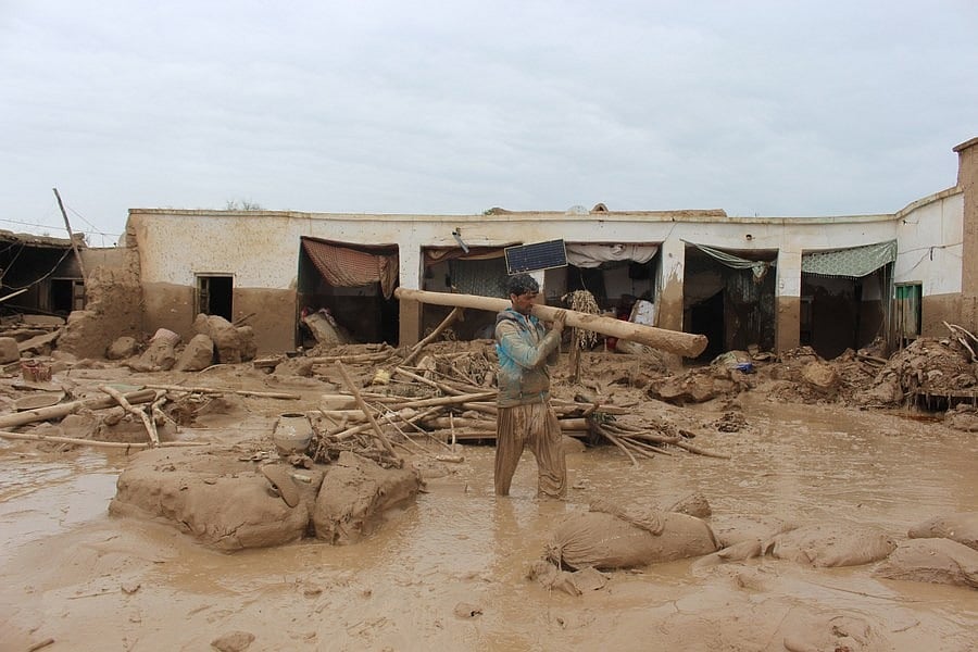 फोटो: सोशल मीडिया