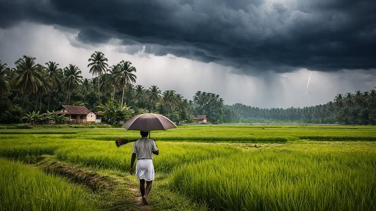 फोटो: सोशल मीडिया