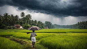 फोटो: सोशल मीडिया