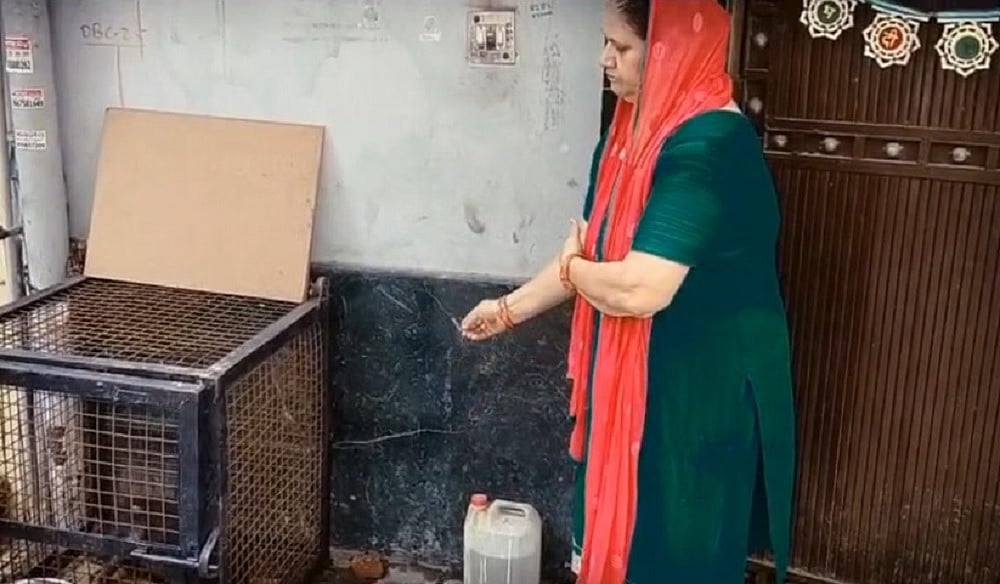 राम पुनियानी का लेखः नफरत की राजनीति का नया हथियार बना पालतू सूअर