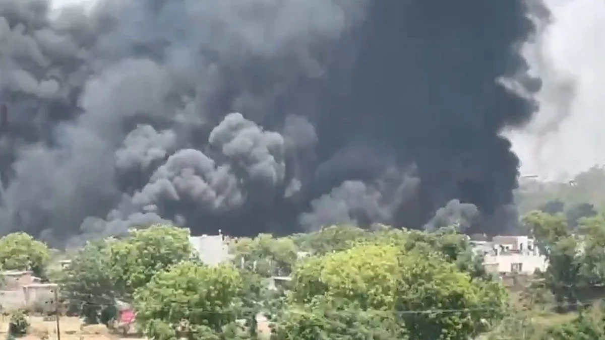 फोटो: सोशल मीडिया