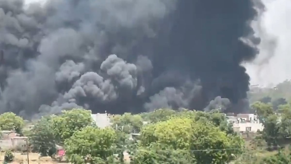 फोटो: सोशल मीडिया