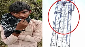 फोटो: सोशल मीडिया