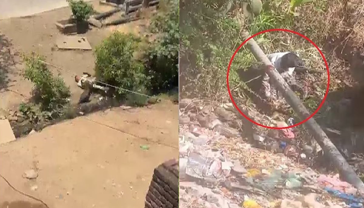 मध्य प्रदेश: धार में तेंदुए से भिड़ा युवक, जमीन पर पटककर बैठा, खौफनाक तस्वीर वायरल