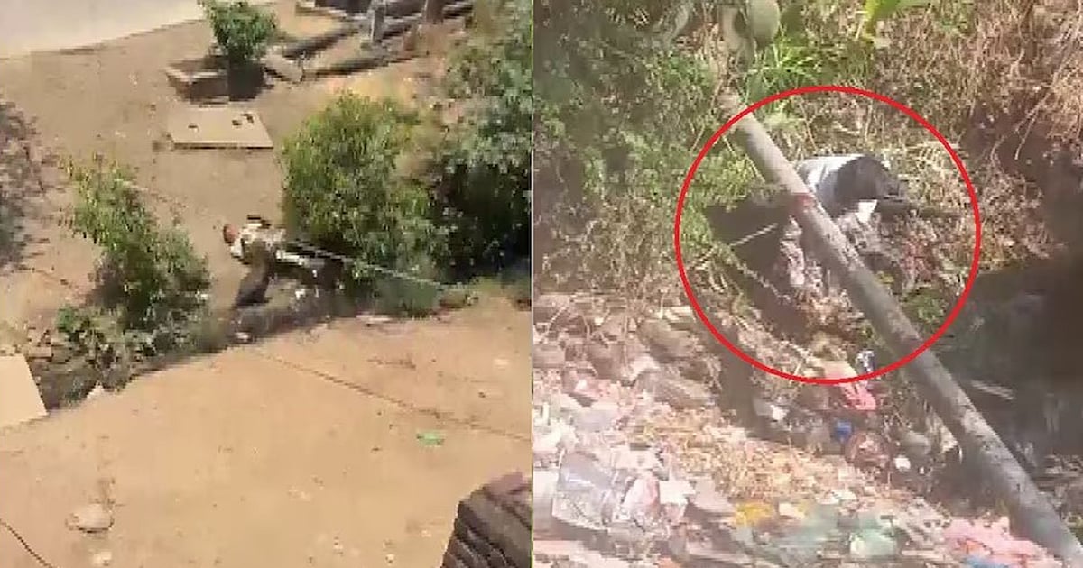 मध्य प्रदेश: धार में तेंदुए से भिड़ा युवक, जमीन पर पटककर बैठा, खौफनाक तस्वीर वायरल