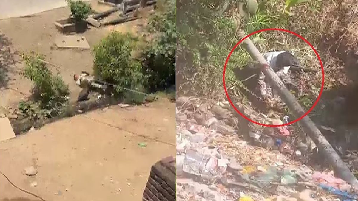 फोटो: सोशल मीडिया