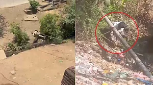 फोटो: सोशल मीडिया