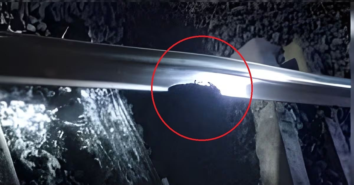 पंजाब: पटियाला में रेल ट्रैक पर धमाका, पटरियों को नुकसान, पास से मिला शव