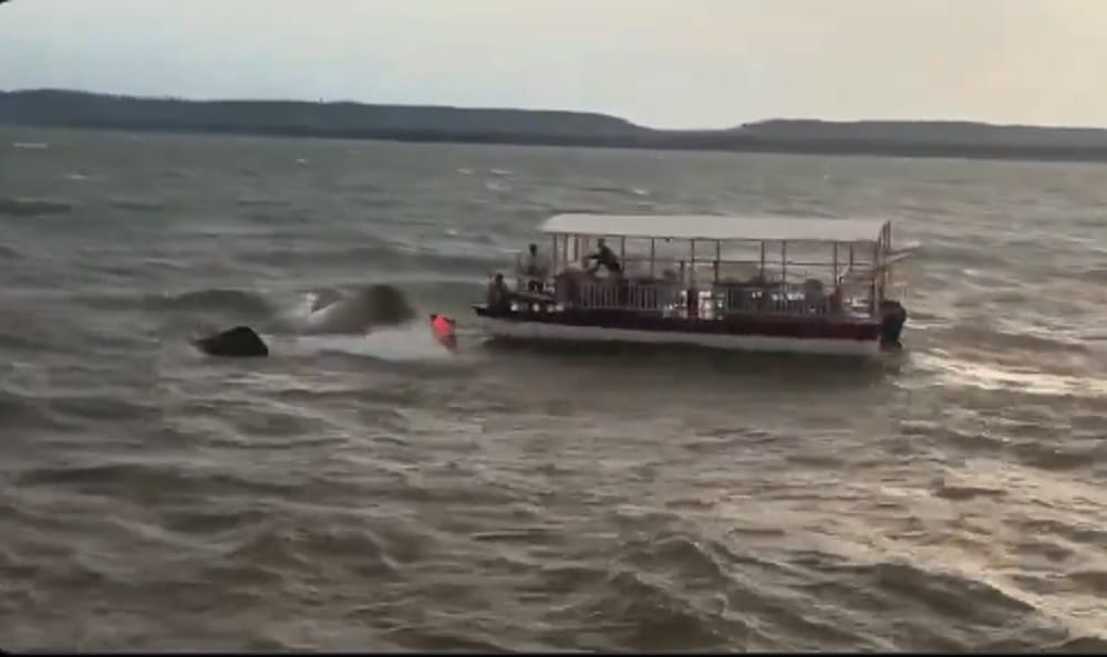 मध्य प्रदेश: जबलपुर में बरगी डैम में पर्यटक नाव पलटी, 4 लोगों की मौत, 18 लापता, बचाव अभियान जारी