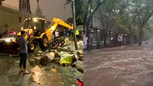 फोटो: सोशल मीडिया