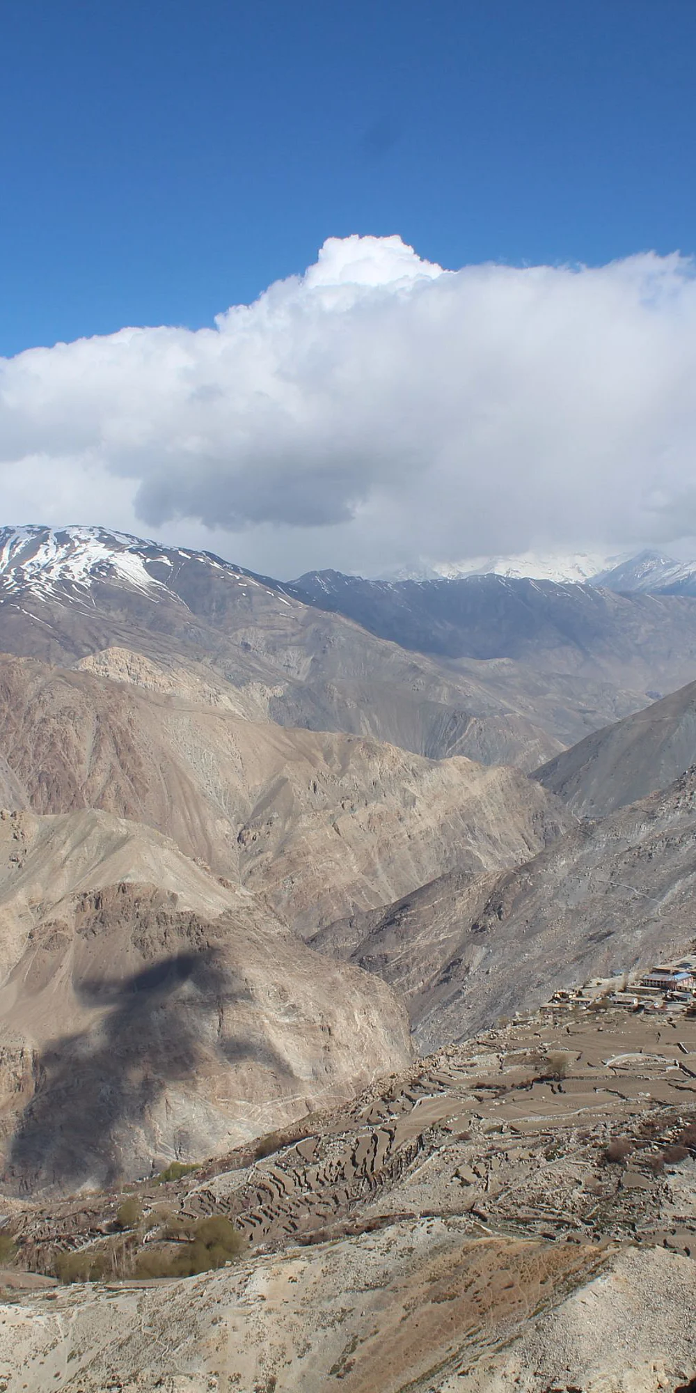 Changing use of ecosystem services along a rural-urban continuum in the Indian Trans-Himalayas