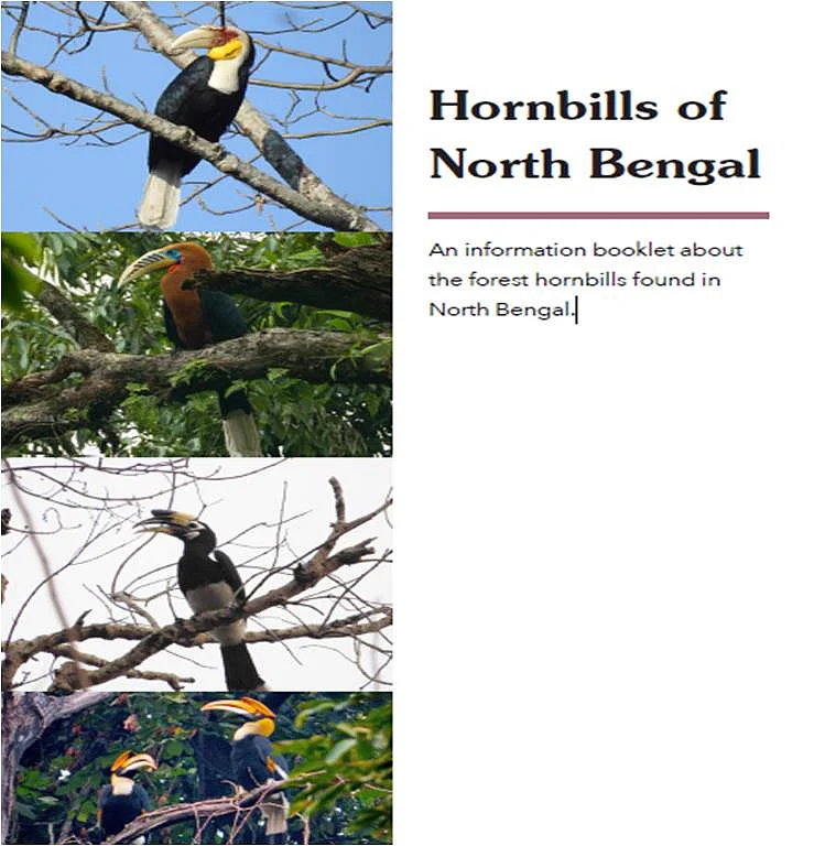 Hornbills of North Bengal