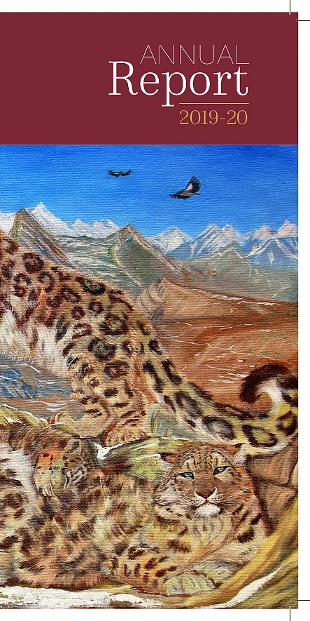 NCF Annual Report 2019-20