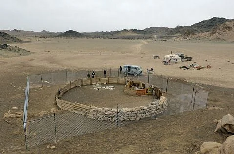 Keeping predators out: testing fences to reduce livestock depredation at night-time corrals. 