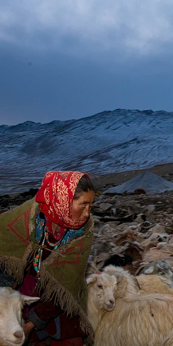 Understanding People’s Relationship With Wildlife in Trans-Himalayan Folklore
