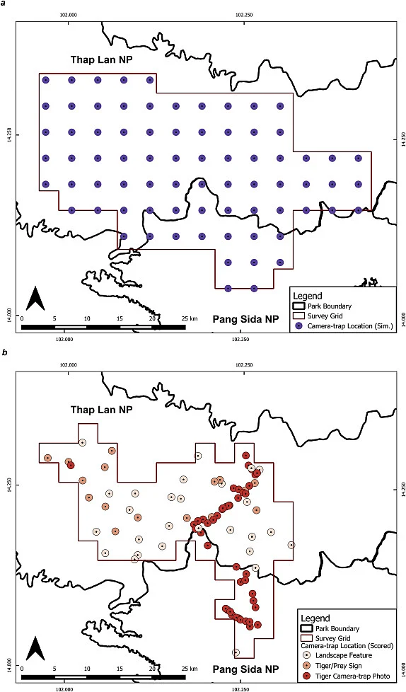 Estimating the density of a globally important tiger (Panthera tigris) population: Using simulations to evaluate survey design in Eastern Thailand