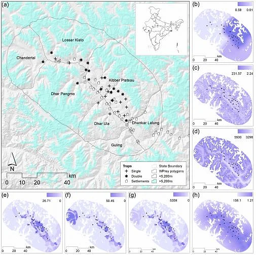 Spatial variation in population-density of snow leopards in a multiple use landscape in Spiti Valley, Trans-Himalaya. 