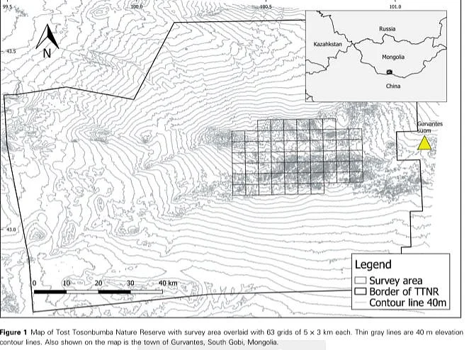 Factors affecting the spatial distribution and co-occurrence of two sympatric mountain ungulates in southern Mongolia
