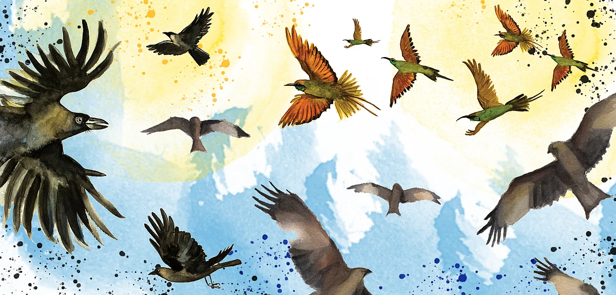 Birds That Sing Their Name