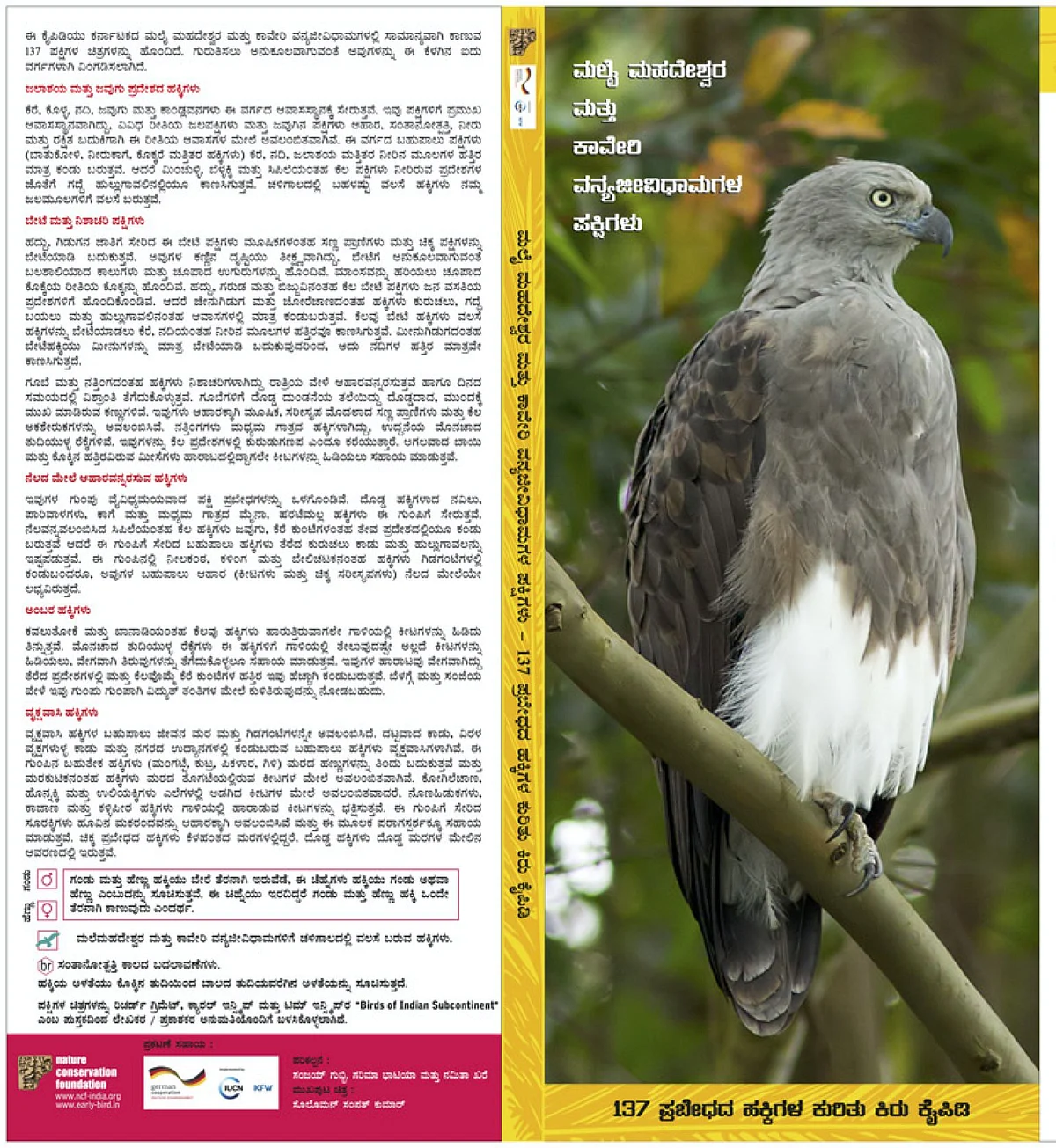 Common birds of Malai Mahadeshwara and Cauvery Wildlife Sanctuaries - A bilingual pocket guide