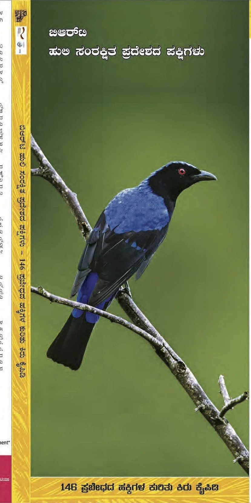 Common birds of BRT Tiger Reserve (Pocket guide)