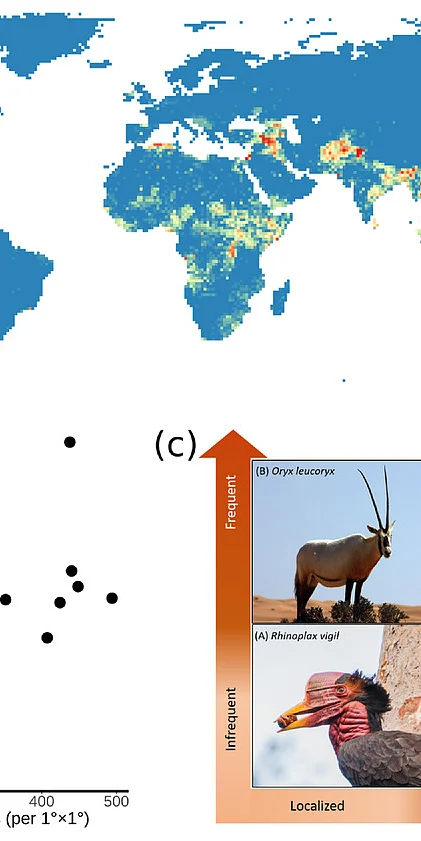 Global patterns of armed conflicts, armed conflicts are relatively more extensive within terrestrial biomes and Species exposure to armed conflict can range in spatial extent from absent or localized to widespread, and in temporal persistence from absent or infrequent to frequent