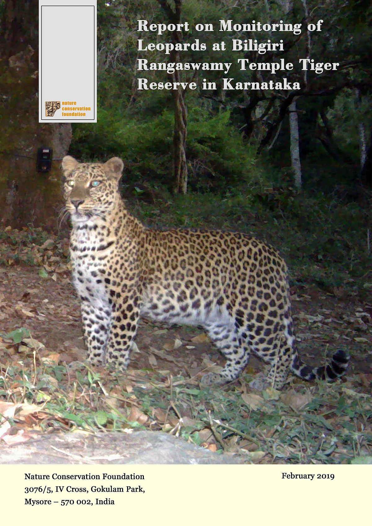 Monitoring of leopards at Biligiri Rangaswamy Temple Tiger Reserve in Karnataka
