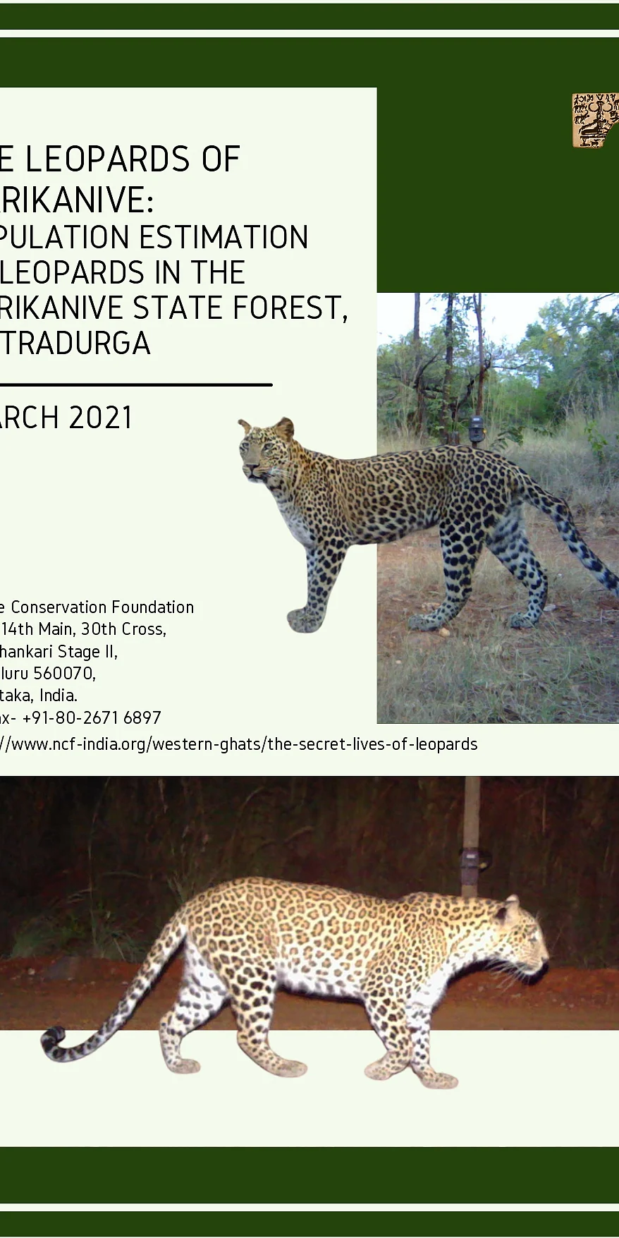 The leopards of Marikanive:
Population estimation of leopards in the Marikanive State Forest, Chitradurga